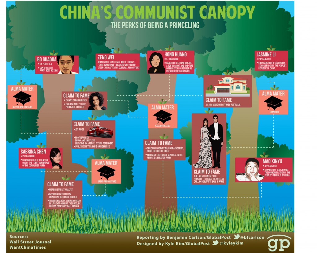 Red Car Small Penis Infographic